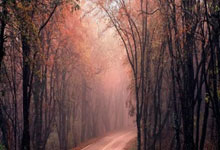 HHPoker官网下载：畅享顶级德州扑克体验