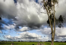 hhpoker德扑圈官网下载：畅享专业德州扑克体验